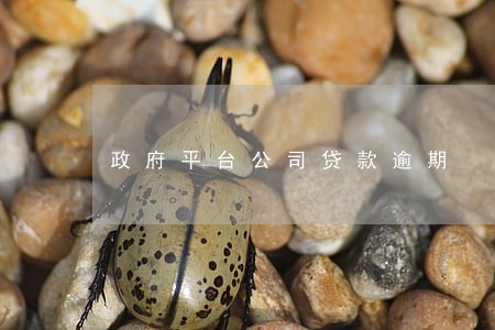 政府平台公司贷款逾期 政府平台公司贷款逾期