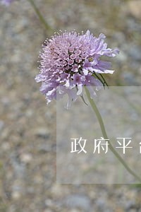 政府平台贷款逾期