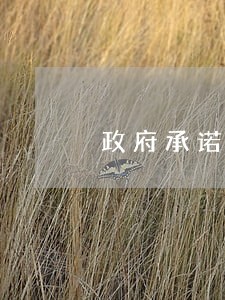 政府承诺保证拍卖的结果 政府承诺保证拍卖的结果