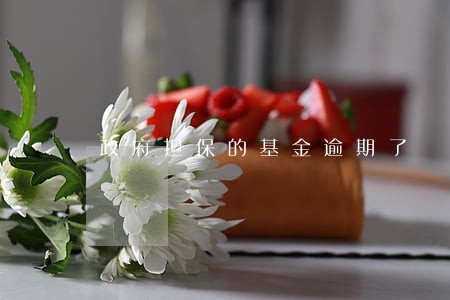政府担保的基金逾期了 政府担保的基金逾期了