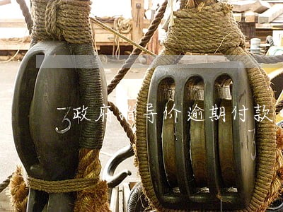 政府指导价逾期付款 政府指导价逾期付款