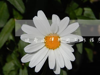 政府法律顾问工作程序 政府法律顾问工作程序