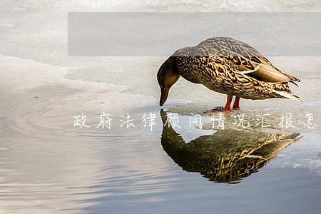 政府法律顾问情况汇报怎么写 政府法律顾问情况汇报怎么写