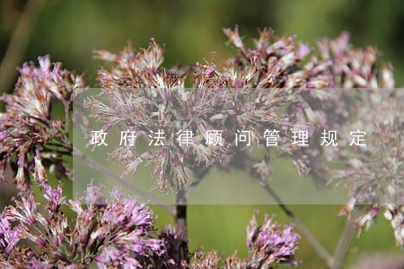 政府法律顾问管理规定