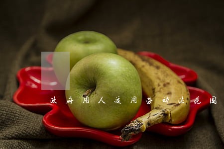 政府用人适用劳动法范围吗 政府用人适用劳动法范围吗