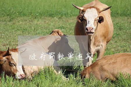 政府罚款单逾期 政府罚款单逾期