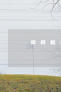 政府能查出逾期记录吗 政府能查出逾期记录吗
