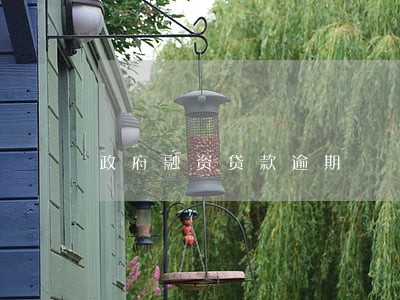 政府融资贷款逾期 政府融资贷款逾期