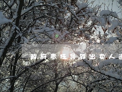 政府责任导致出卖人逾期交证 政府责任导致出卖人逾期交证