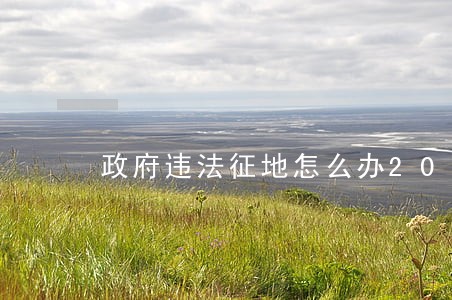 政府违法征地怎么办2021 政府违法征地怎么办2021