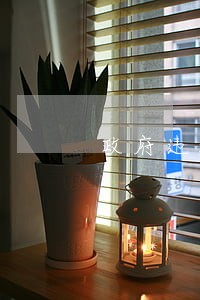 政府违法征收案事例 政府违法征收案事例