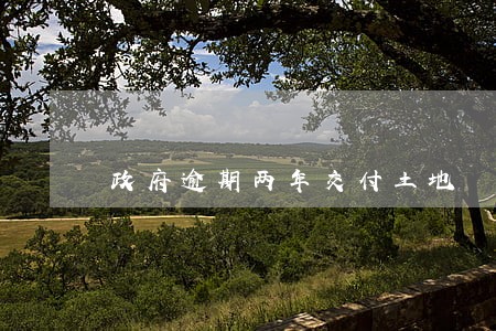 政府逾期两年交付土地
