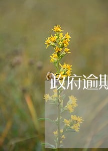 政府逾期信息公开的后果 政府逾期信息公开的后果