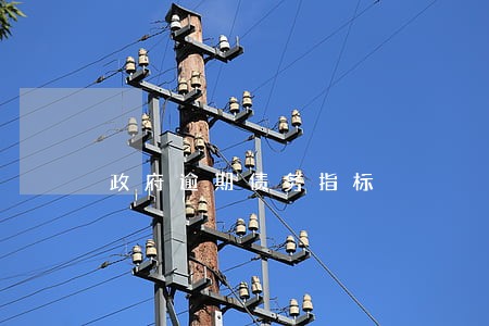 政府逾期债务指标 政府逾期债务指标
