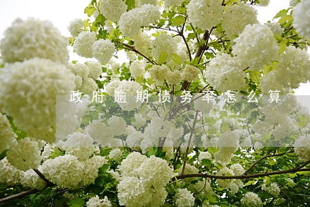 政府逾期债务率怎么算 政府逾期债务率怎么算