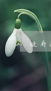 政府逾期债务的原因 政府逾期债务的原因