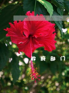 政府部门法律顾问公示牌