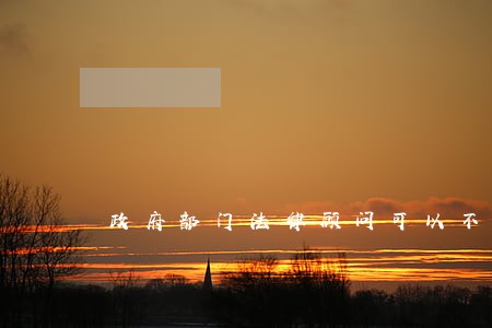 政府部门法律顾问可以不是律师吗 政府部门法律顾问可以不是律师吗