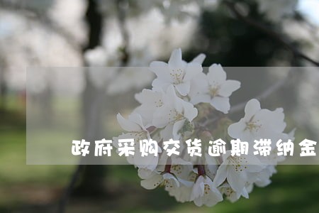 政府采购交货逾期滞纳金 政府采购交货逾期滞纳金
