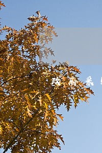 政府采购及招投标法规汇编 政府采购及招投标法规汇编