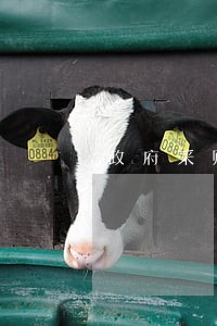 政府采购合同可以逾期签订嘛 政府采购合同可以逾期签订嘛