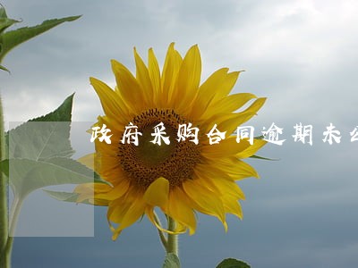 政府采购合同逾期未公示 政府采购合同逾期未公示