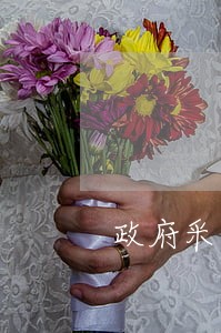 政府采购方式聘请法律顾问