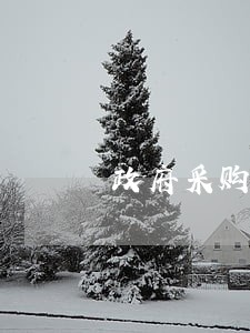 政府采购法规制度汇编书 政府采购法规制度汇编书
