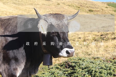 政府采购逾期交付投诉 政府采购逾期交付投诉
