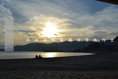 政府采购逾期交货违约金 政府采购逾期交货违约金