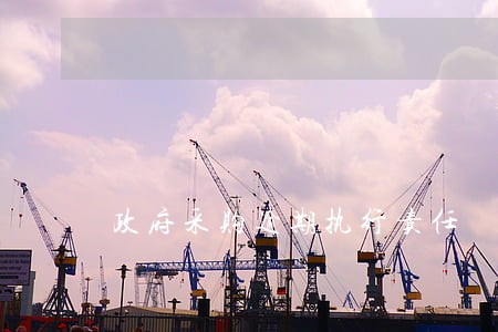 政府采购逾期执行责任 政府采购逾期执行责任