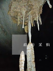 政府采购逾期支付约束机制