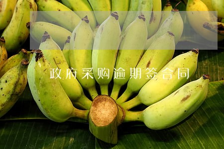 政府采购逾期签合同 政府采购逾期签合同