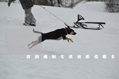 政府限制令或将面临更多法律挑战 政府限制令或将面临更多法律挑战