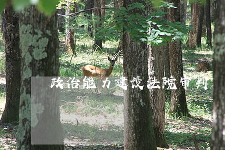 政治能力建设法院审判 政治能力建设法院审判