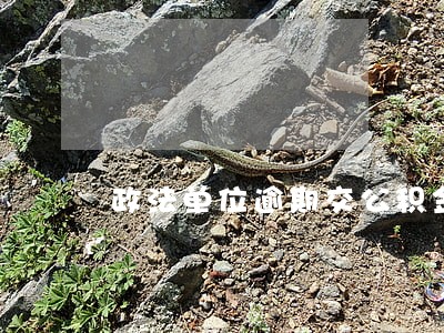 政法单位逾期交公积金 政法单位逾期交公积金