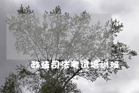 政法司法考试培训班