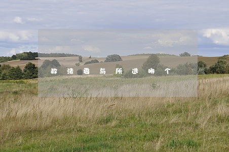 政法委与所选哪个
