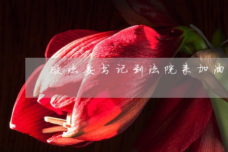 政法委书记到法院来加油打气 政法委书记到法院来加油打气