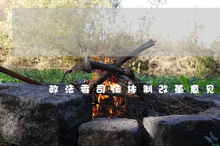 政法委司法体制改革意见建议 政法委司法体制改革意见建议
