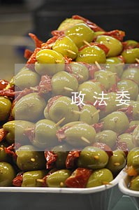 政法委司法补助费 政法委司法补助费