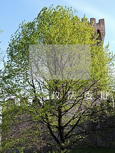政法委批示法律援助