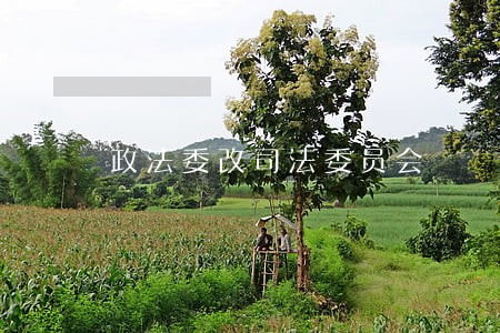 政法委改司法委员会 政法委改司法委员会