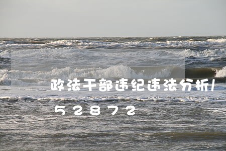 政法干部违纪违法分析/2023012752872 政法干部违纪违法分析/2023012752872