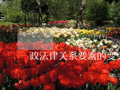 政法律关系要素的变更包括 政法律关系要素的变更包括