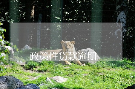 政策性贷款逾期 政策性贷款逾期