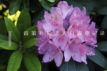 政策补贴法人有逾期记录 政策补贴法人有逾期记录