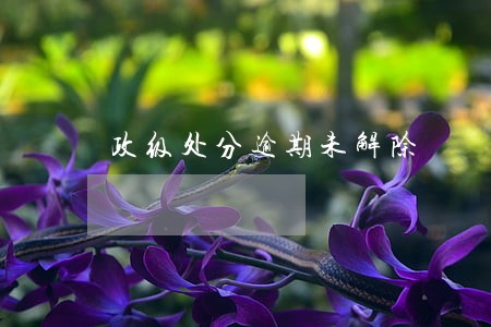 政级处分逾期未解除