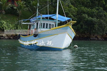 政纪法规 政纪法规