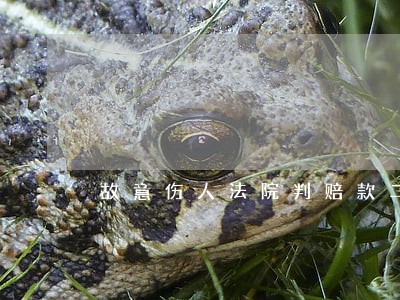 故意伤人法院判赔款二十三万 故意伤人法院判赔款二十三万